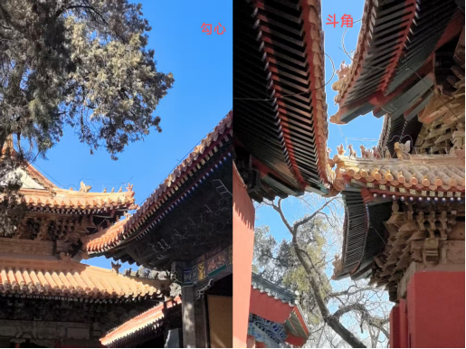 微信图片_20250317171523.png