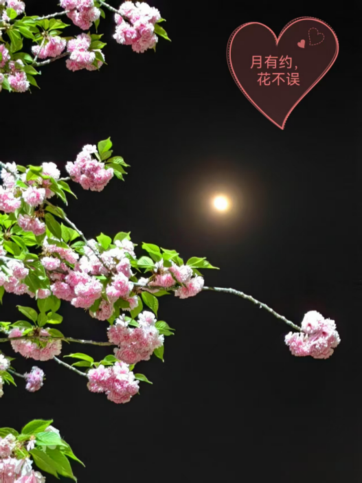 微信图片_20250317171530.png